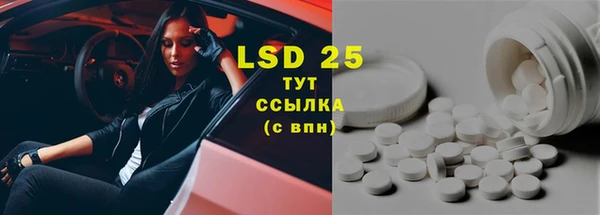 сатива Богданович