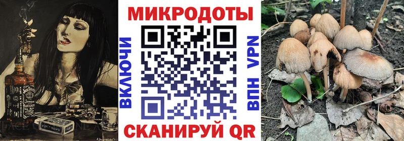 Галлюциногенные грибы GOLDEN TEACHER Малая Вишера